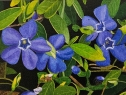 Flores 9